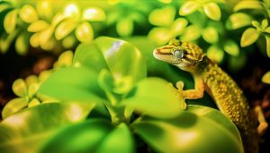 Un gecko en gros plan, se camouflant sur une feuille verte.