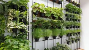 Les jardins verticaux : la clé pour transformer vos murs en véritables oasis de verdure